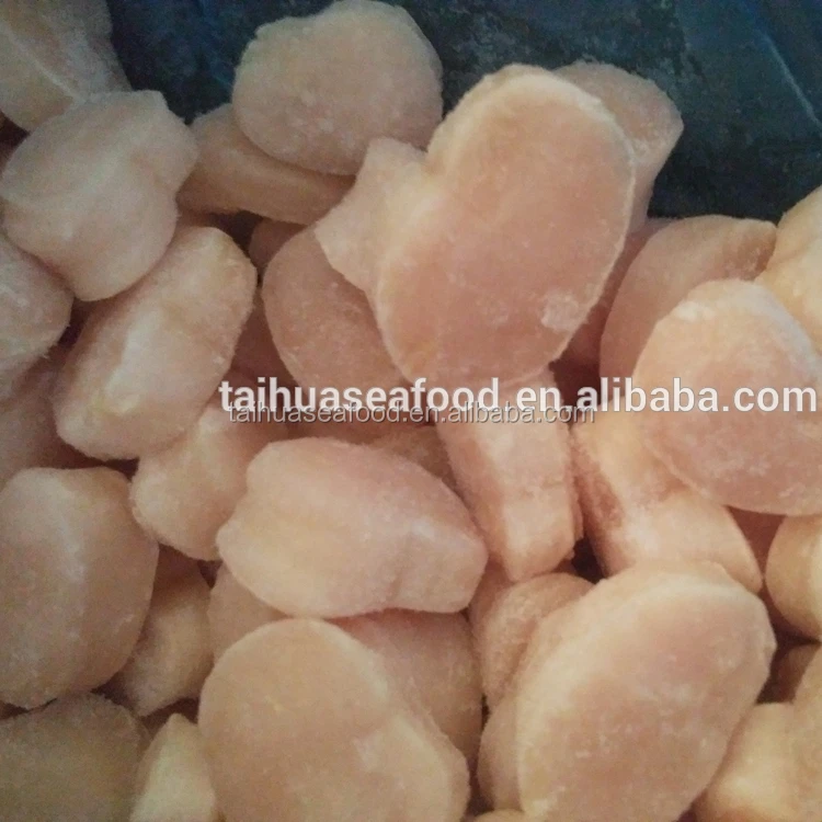 wholesale all kinds of the scallop and fresh clam meat in season