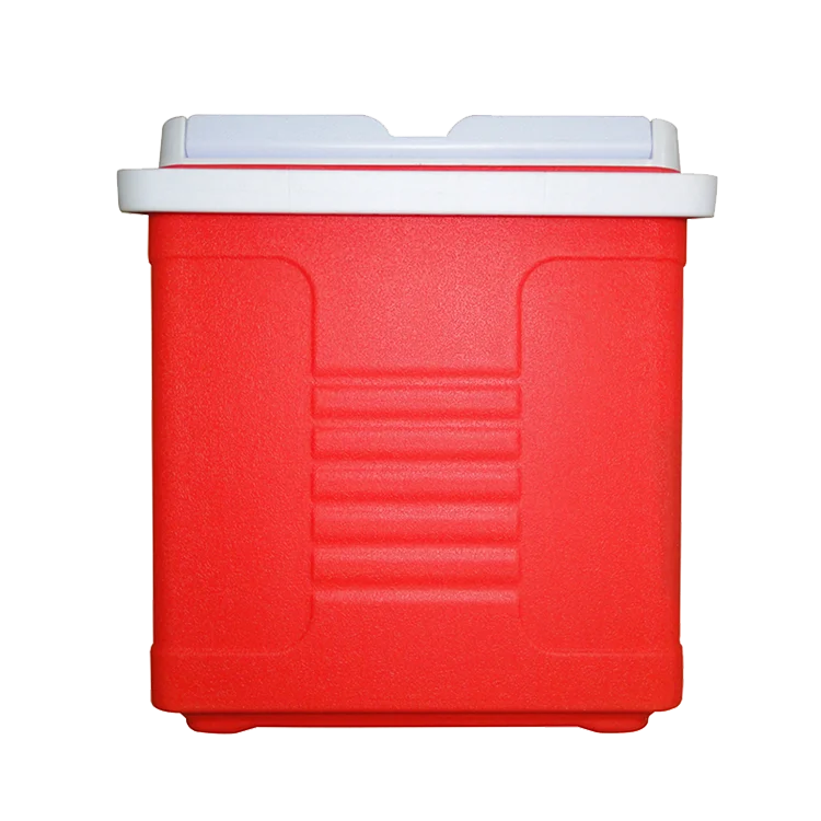 Portable cooler box with handle for camping, picnic, outdoor Ice chest