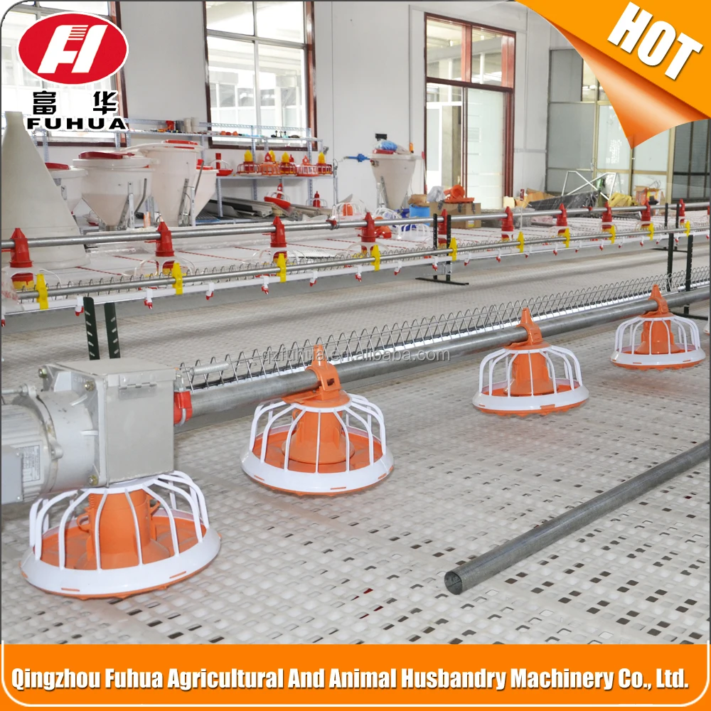 Fuhua competitive products! pan feeding system for poultry equipment