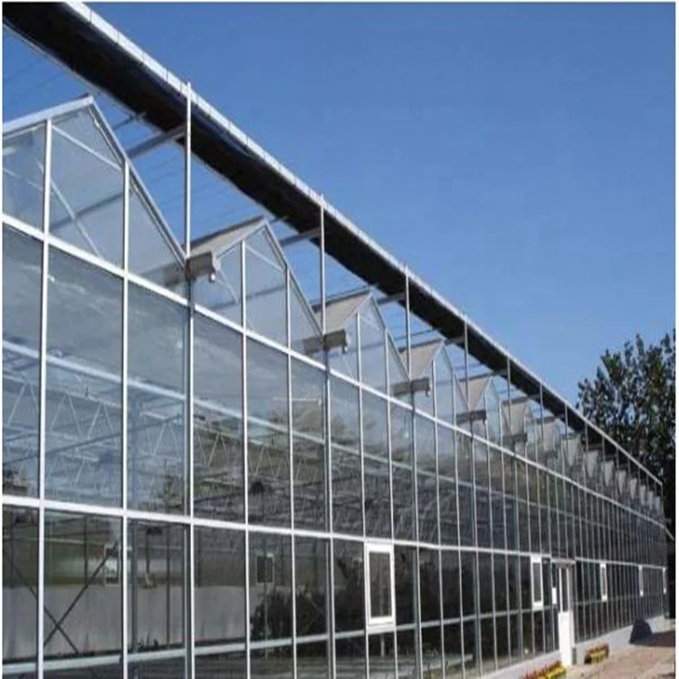 
Large multi span polycarbonate and galvanized steel griculture greenhouse kit tunnel with hydroponic system 