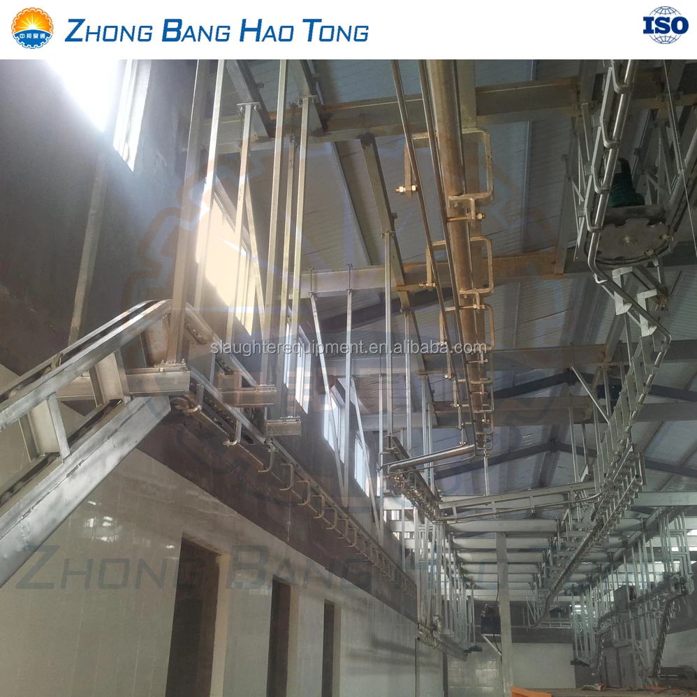 Cattle Bleeding track for cattle abattoir