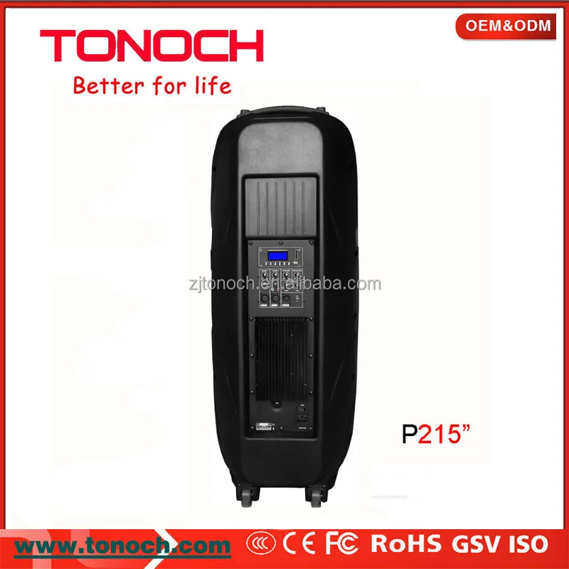 Dual 15 Inch Professional Indoor Active speaker powered speaker