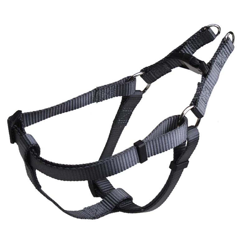 Custom print logo dog collar leash harness set with name plate