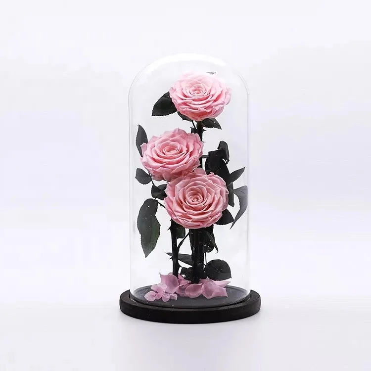 
wholesale real touch preserved flower fresh Preserved roses in glass dome tubes 