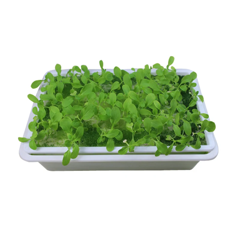 New Plants Seed Hydroponic Float Trays