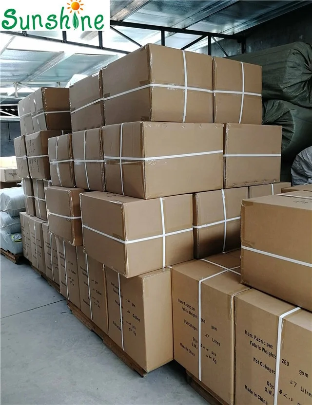 Non-woven Fabric plant grow bag, plant container, grow pots