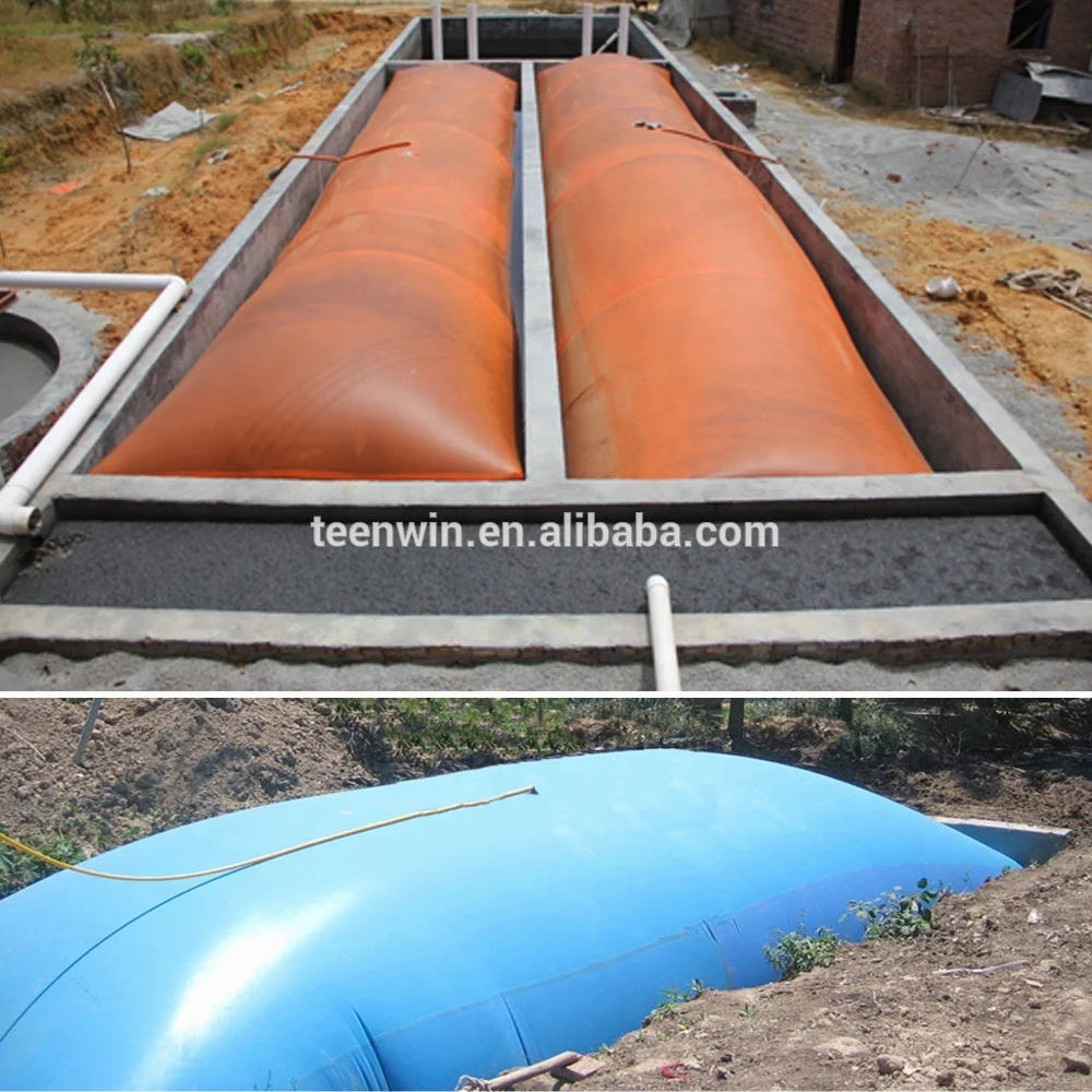 Lamb goat sheep manure dung waste anaerobic biogas digester