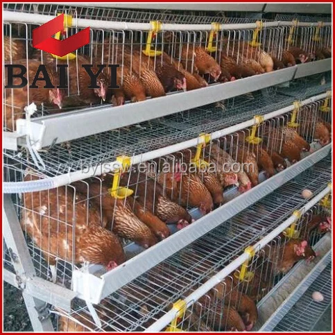 Cheap Chicken Coops Directly From Factory