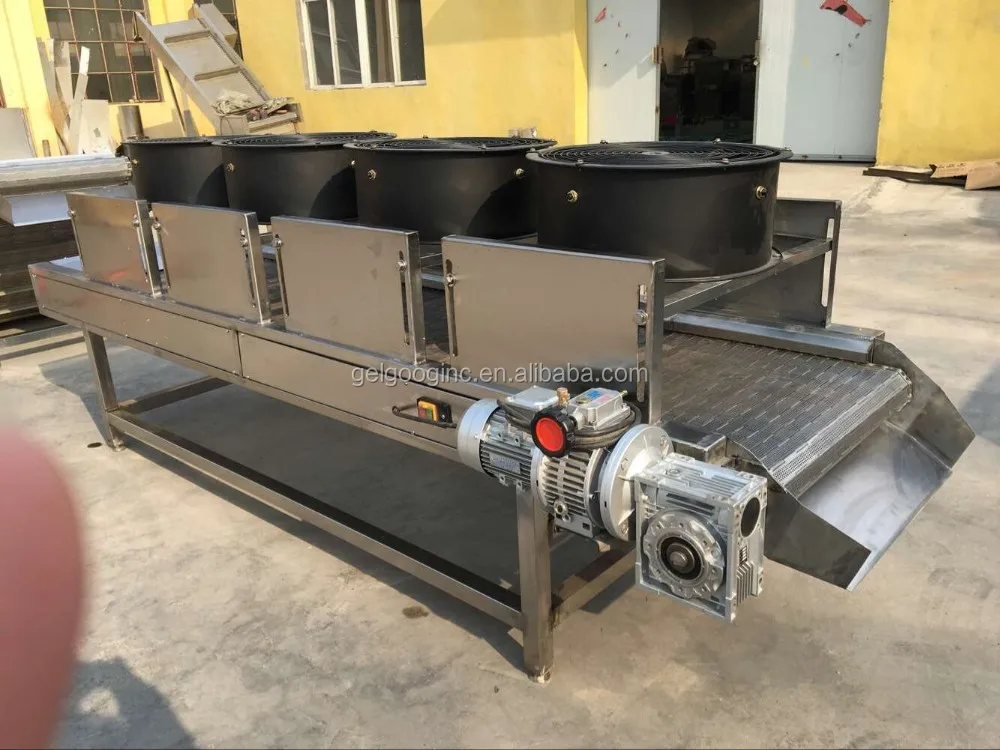 Industrial Ozone Fruit and Vegetable Washer and Dryer Prices, Commercial Vegetable Washer