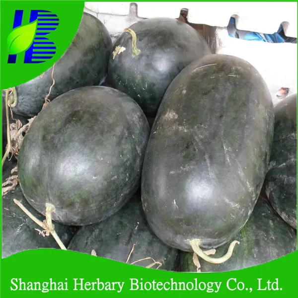 2021 High Disease Resistance Densuke Black Watermelon Seeds For Planting