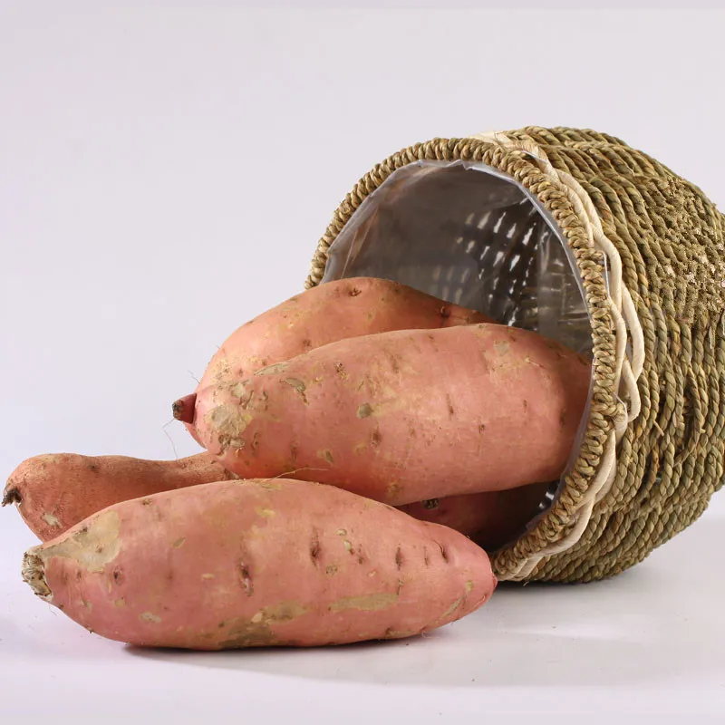 Fresh sweet potatoes, healthy sweet potatoes wholesale, dragon potato 9.