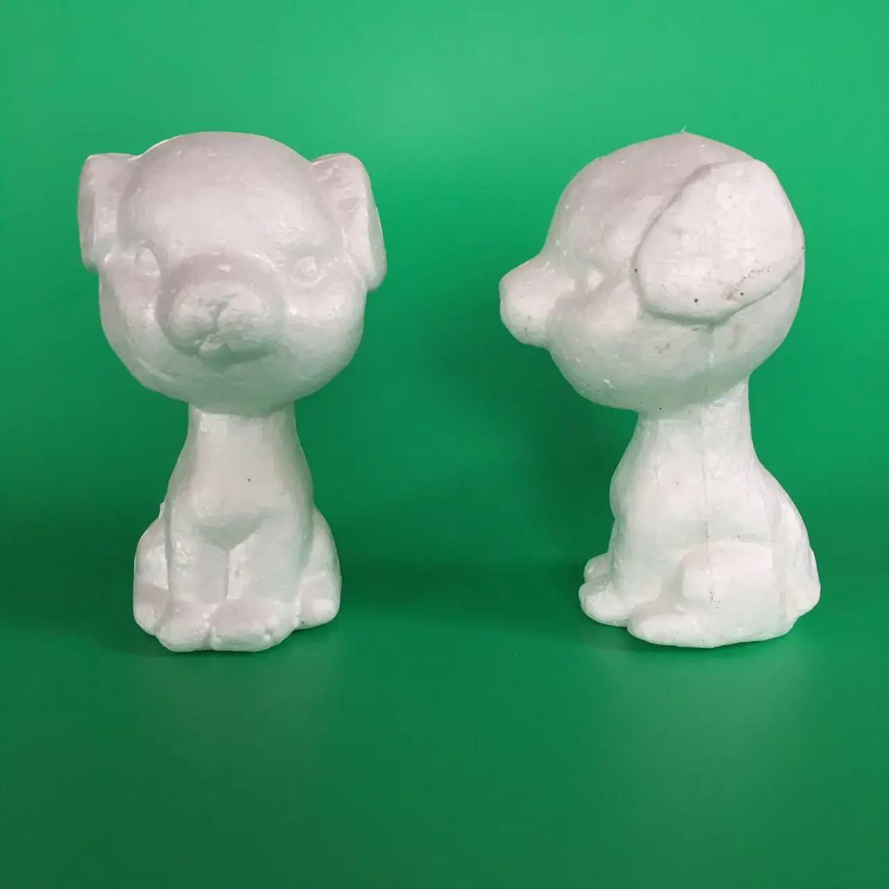 polystyrene styrofoam foam dog