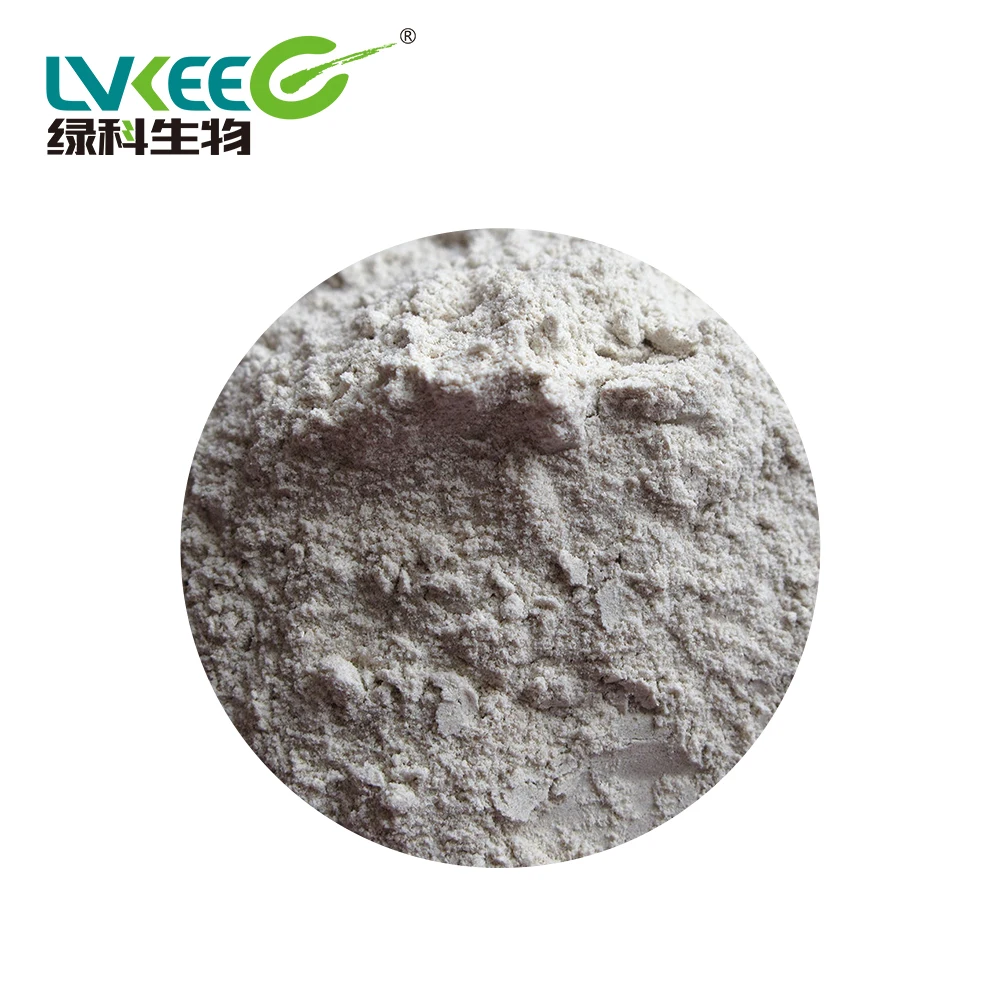 Soil Fertilizer/Planting/Freshwater/Agricultural cultivation Probiotics Powder Bacillus Subtilis100BL-500BL from China Lvkee