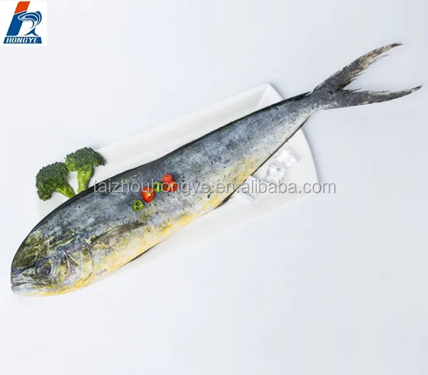 Good Price Frozen mahi mahi fillet/Portion/ Steak for good sale
