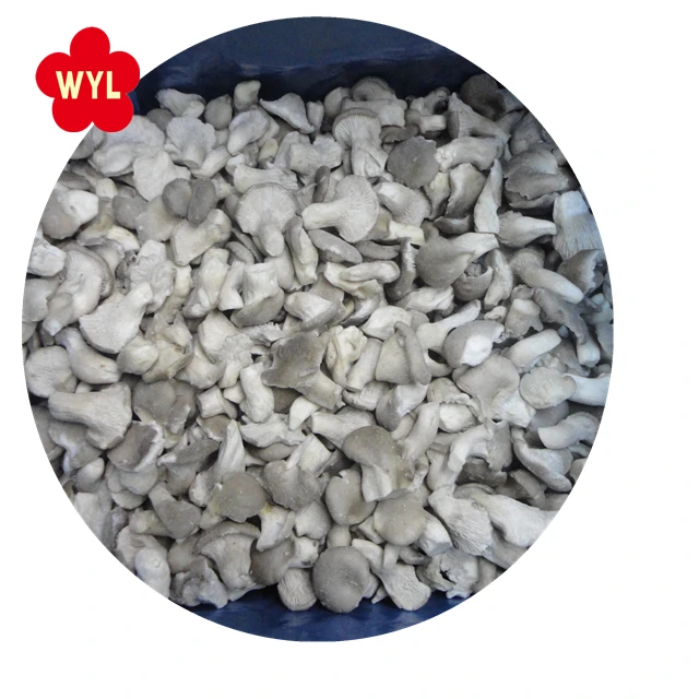 
New Crop IQF Mushroom Frozen Baby oyster with High Quality 