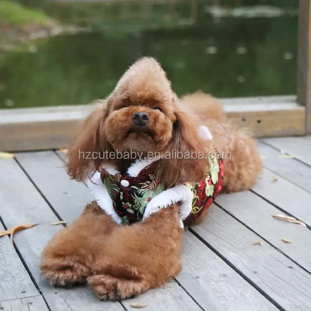 winter male dog tang suits