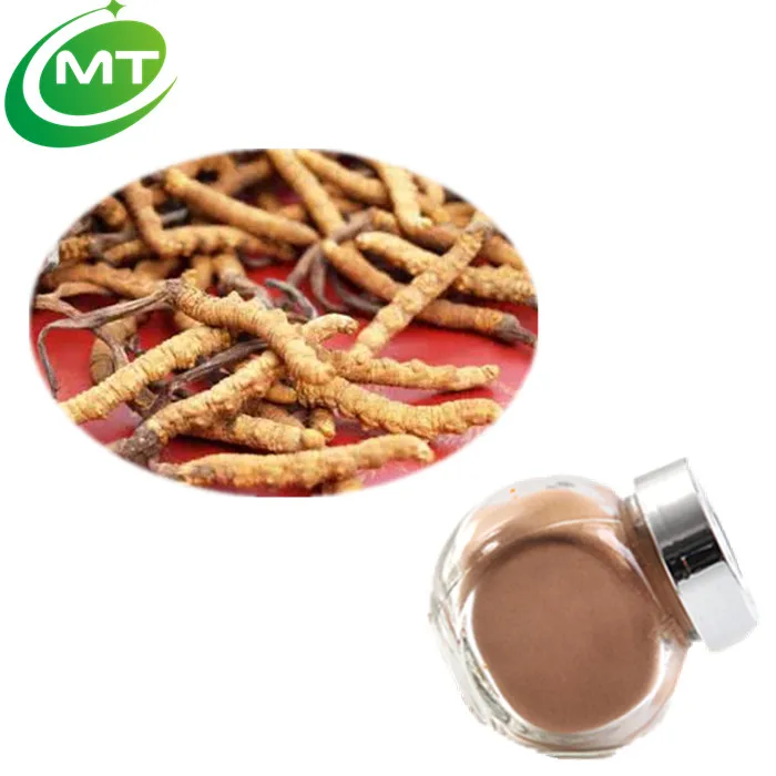 
Best price 7%Cordycepin Cordyceps sinensis Extract powder 