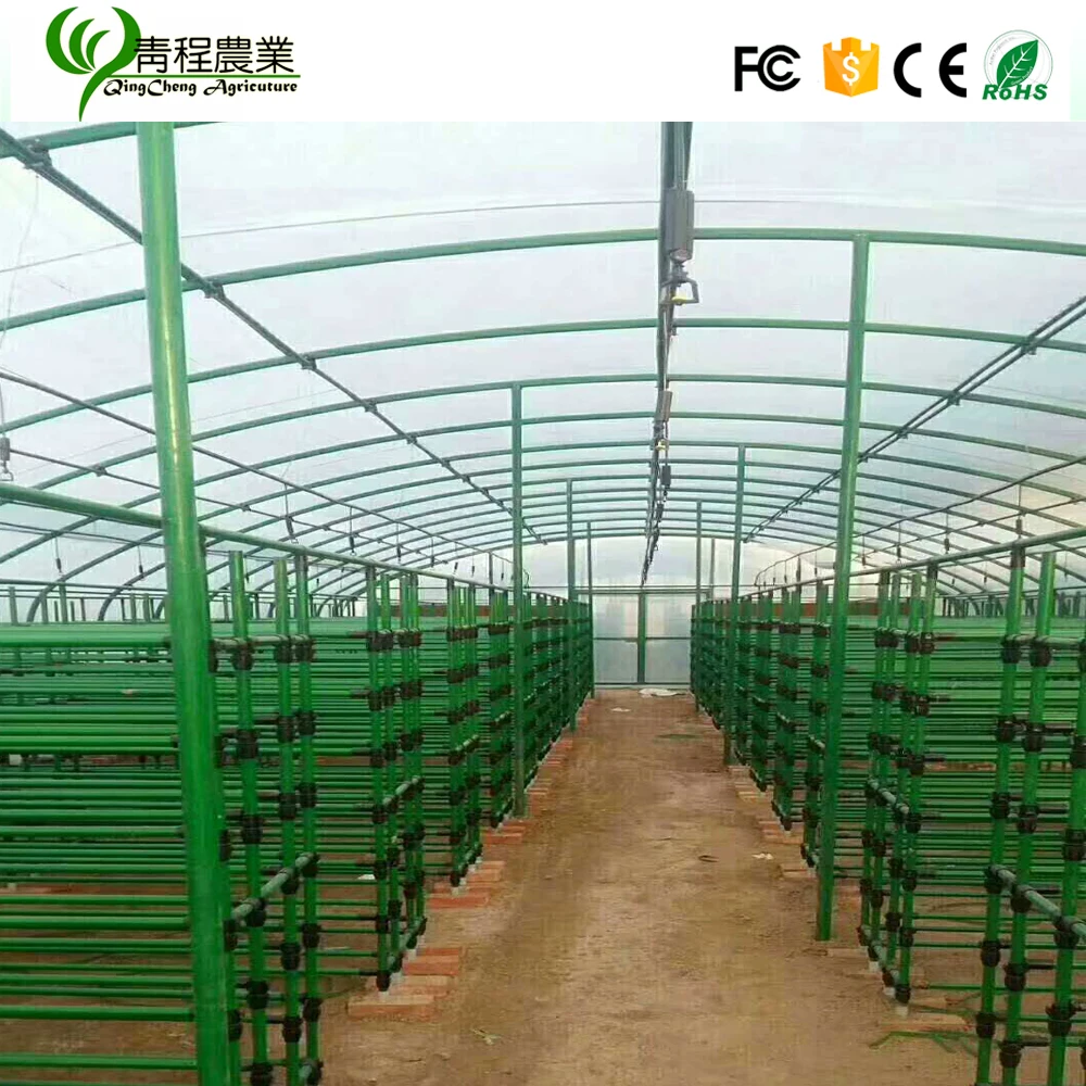 mushroom growing shelves greenhouse for sale
