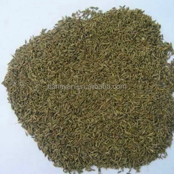 
Cumin powder and Fresh-ground Cumin (100% natural) 
