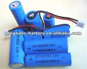 MAGNATE BATTERY ER14335 LiSOCl2 Battery Cell 2/3AA Size 3.6v 1600mah
