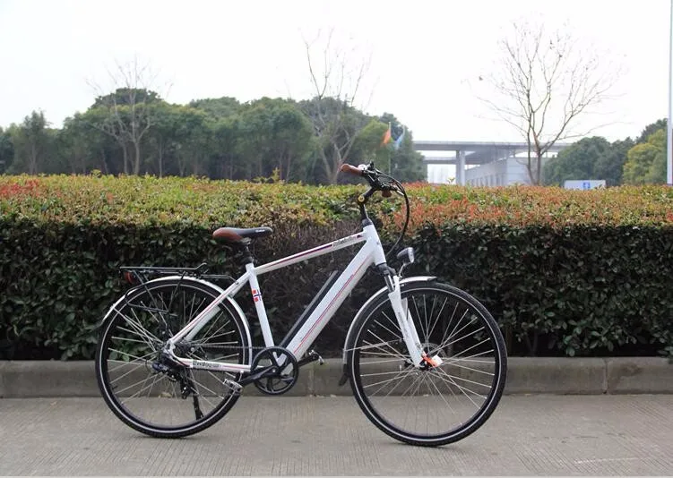 Bisek Cheap Price Pedal Assisted Electric walking Bike for coummuting