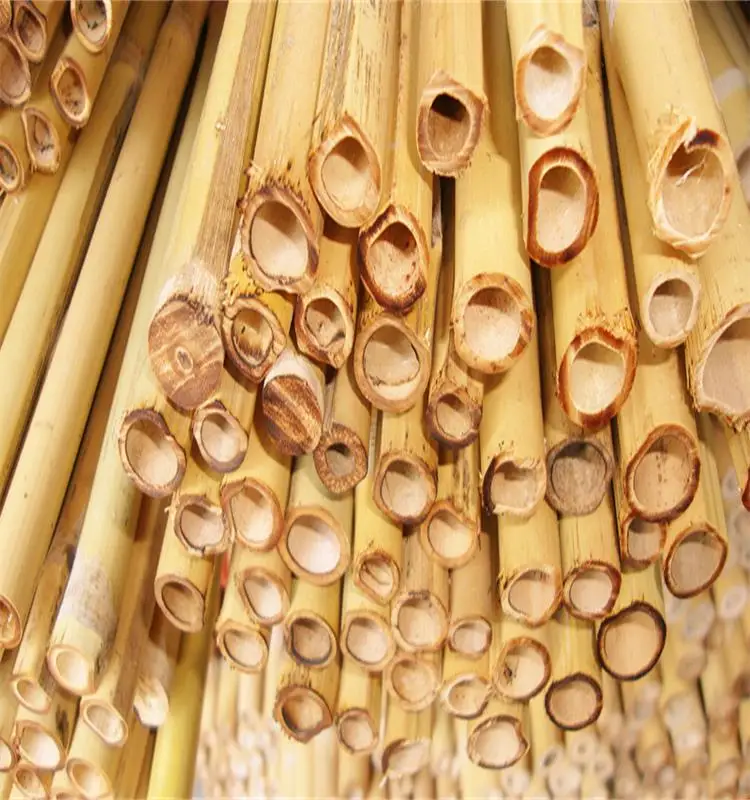 
wholesale! High-quality bamboo poles Plant support rods 