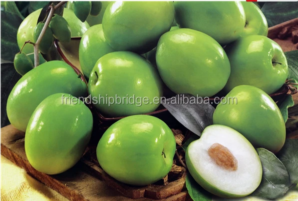 
Fujian natural plant Jujube fruit tree seedling 