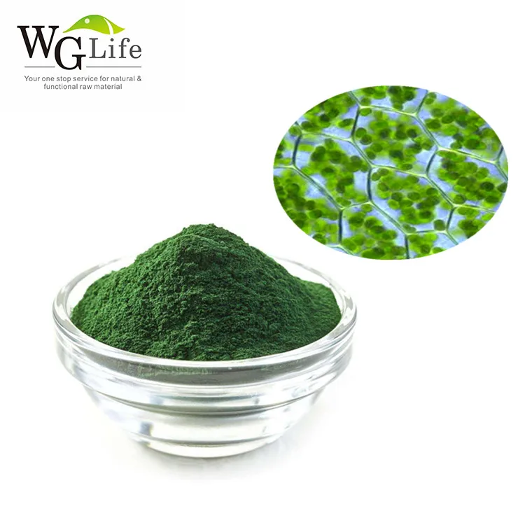 health benefits organic sodium copper liquid chlorophyll Plant Extract