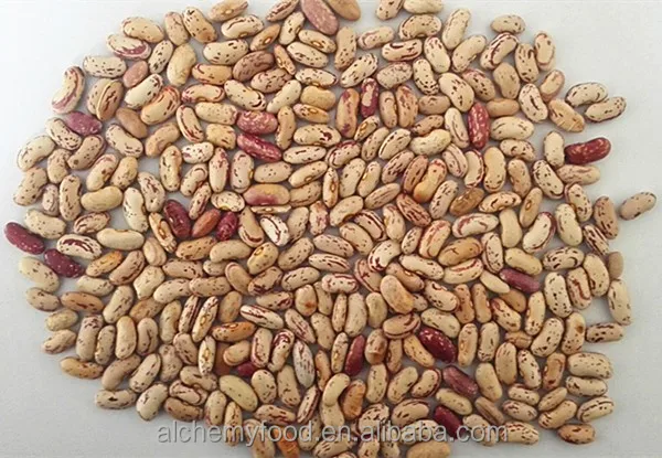 Высококачественная фасоль LSKB, сухая фасоль pinto bean