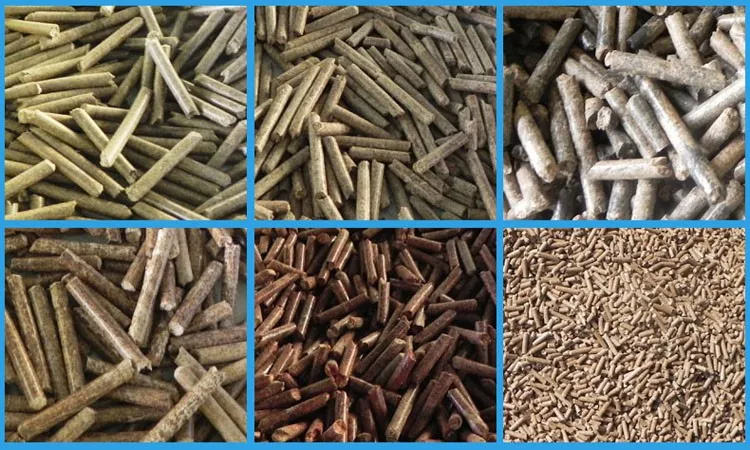 Turkey Hot Sale Complete Wood Pellet Line, Biomass Pellet Machine Made in China