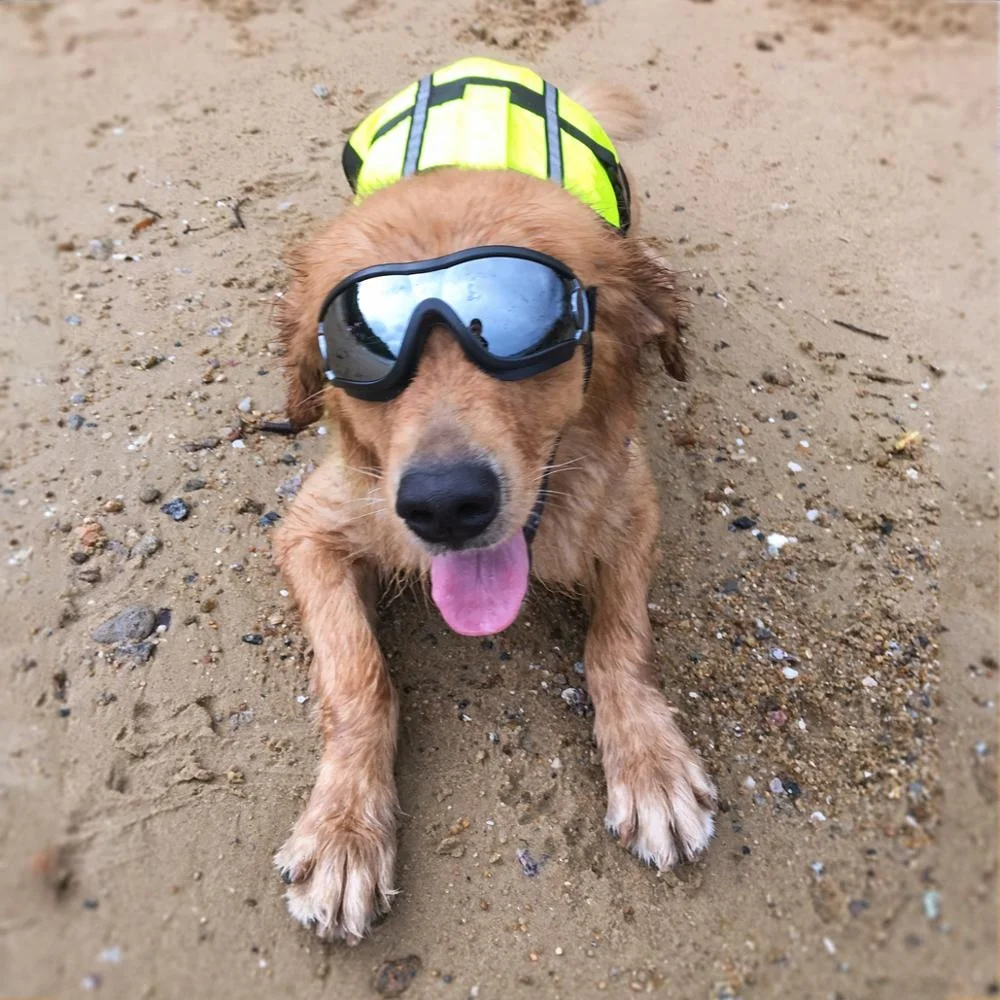Dog UV Protection Sunglasses Pet Waterproof Goggles Fashion Glasses for Dog