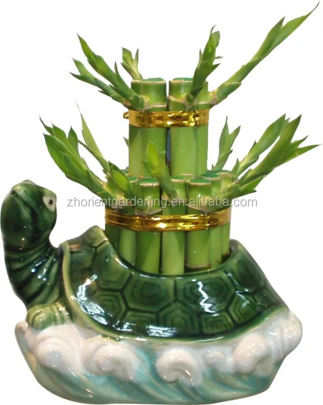 2-tier tower lucky bamboo bonsai dracaena sanderiana indoor decorative plants