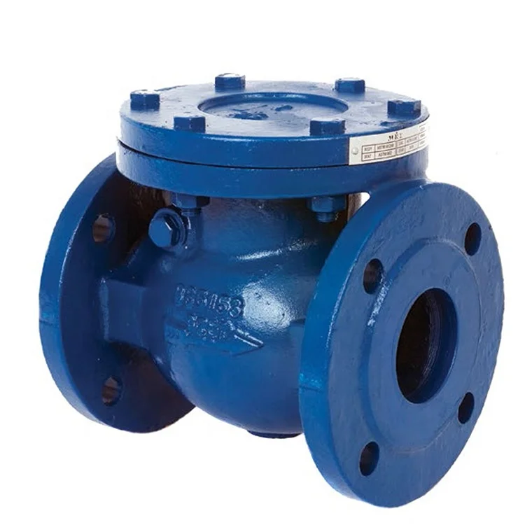 DN50-DN600mm material EN-GJL-250 BS F6 check valve