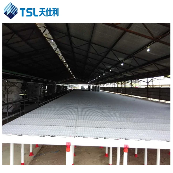 Пластиковый настил для птицефермы, домик для кур/овец/уток