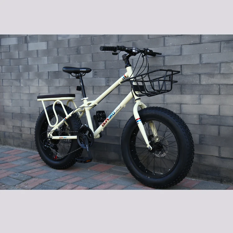 20Inch Bicycle21Speed High Carbon Steel Mountain Bike Dual Disc Brake Bikes