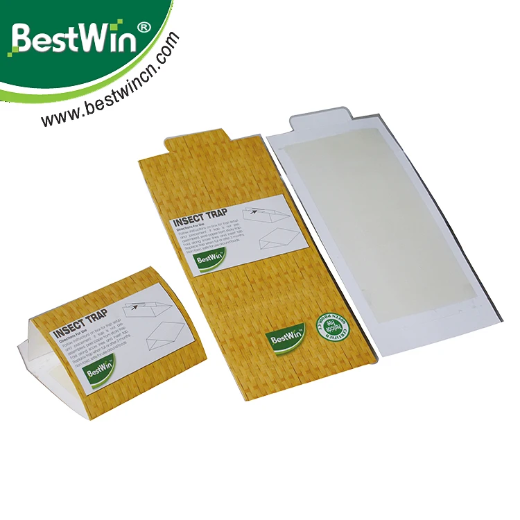 BSTW 3 year quality assurance new hot disposable insect cockroach gel trap