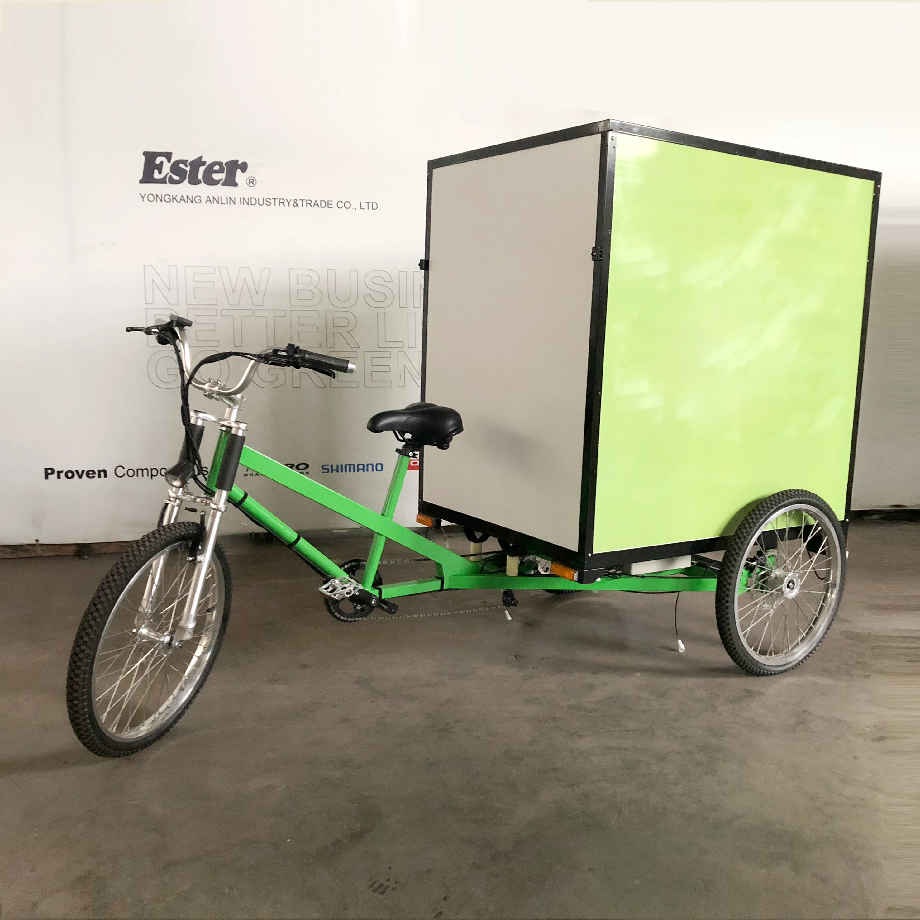 3 Wheels  Electric Cargo Trike for Adult