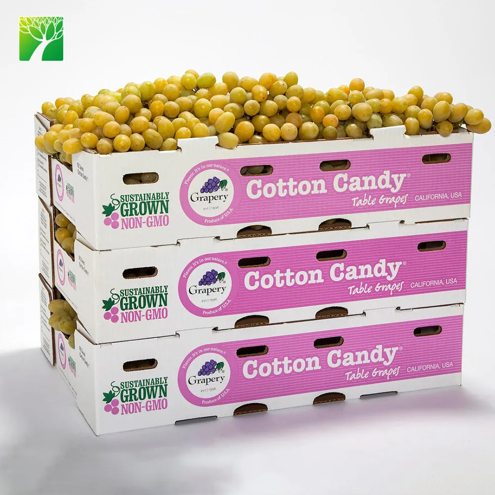
Cheap wholesale fruit sapling tree Cotton Candy Vitis vinifera 
