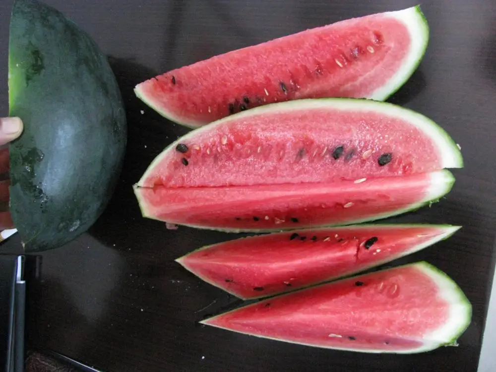 
Suntoday vegetable hybrid F1 hybrid lord black watermelon seeds sudan 1kg/bag 