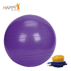 65cm ECO Friendly Custom Printed PVC Yoga Ball With Pump