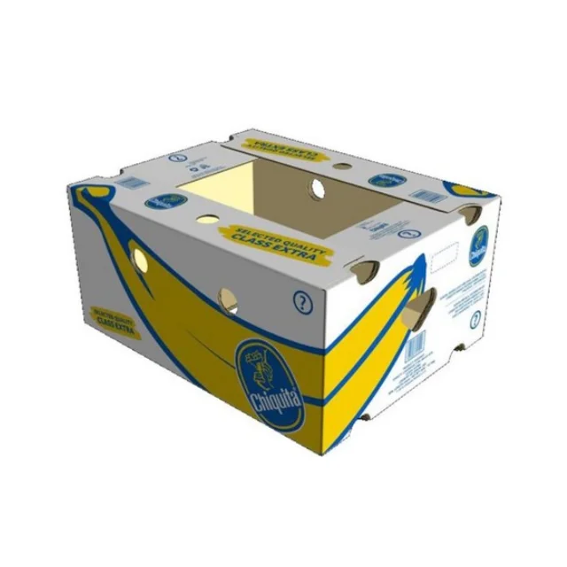 Fruit Carton Packing Box for Fresh Cut Fruit