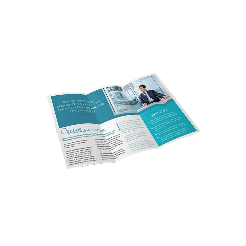 Custom promotion flyer, leaflet, catalogue, booklet, brochure printing service