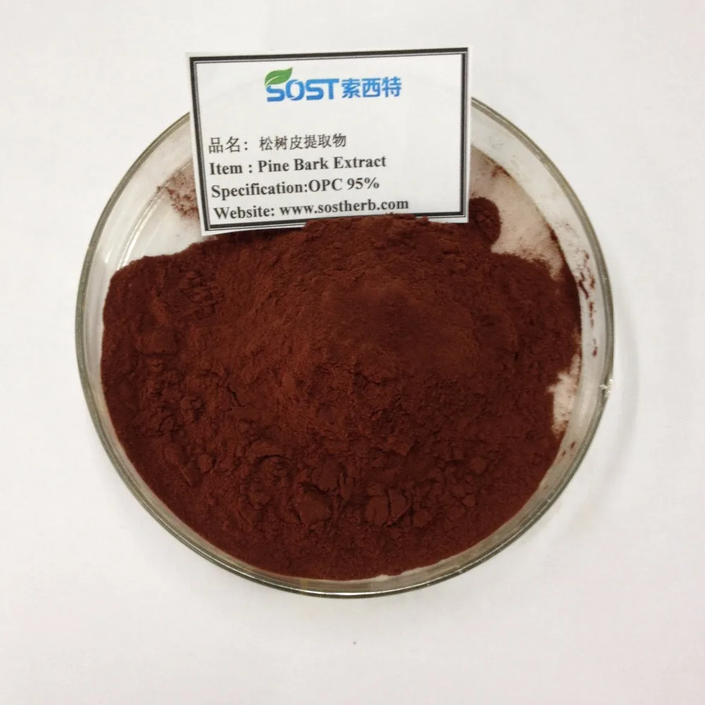 
Herbal Medicine Pinus Maritima/Pinus Pinaster/French Maritime Pine Proanthocyanidins 95% Pine Bark Powder 