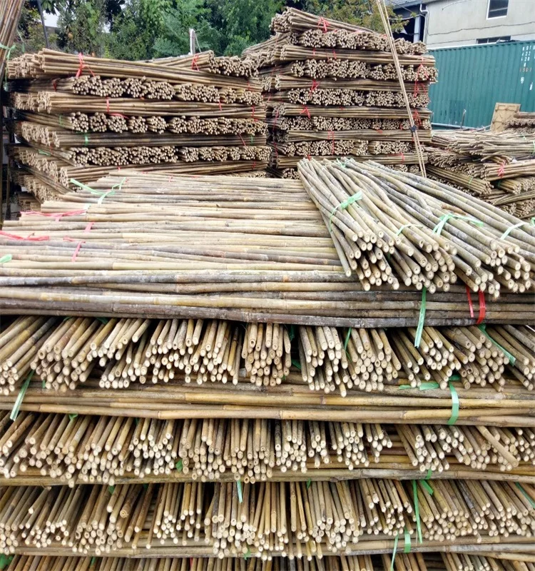 WY T-001 натуральный сухой Высококачественный бамбуковый держатель/дерево в сырье для продажи