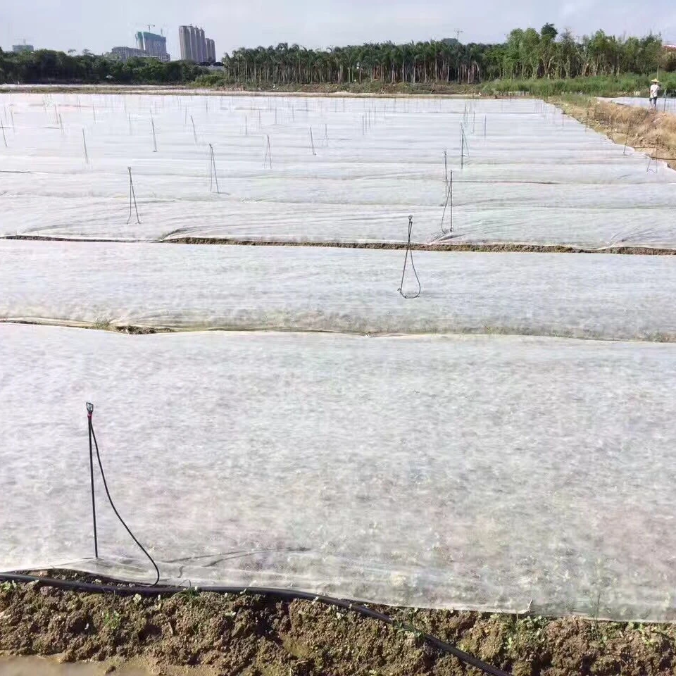 17gsm 3% Anti  UV PP Spunbond Non Woven Fabric For Agriculture Cover , Weed Mat/Landscape Fabric, Weed Mat