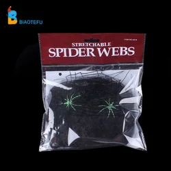 spider web with spider cobweb for indoor decoration