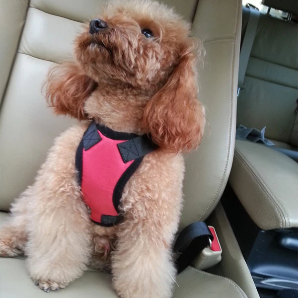 Adjustable ecofriendly wholesale custom logo comfort soft nylon padded pet chest strap car seat safety small dog harness