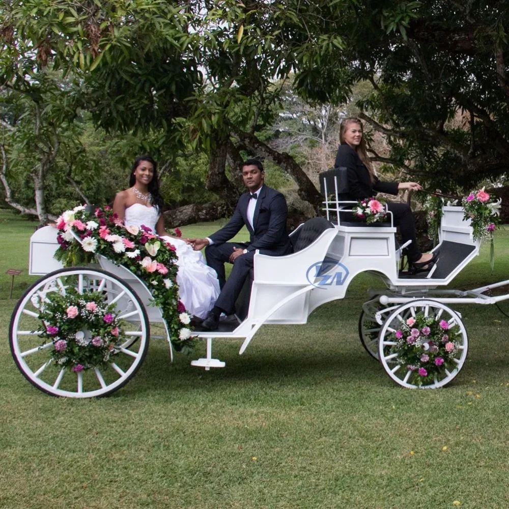 
Wheels For Horse Carriage Vis-a-vis Sightseeing Horse and Carriage 