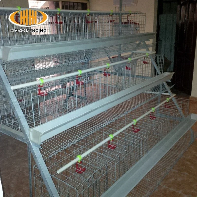 China factory wholesale low price good poultry chicken cages layer cages egg chicken
