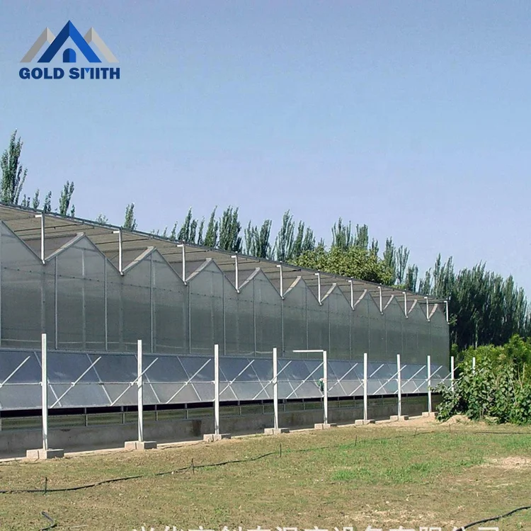 Commercial Vegetable Steel Tube Greenhouse with One Stop Buying Service